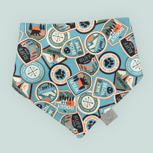 Lets go for a Hike 🐾🥾