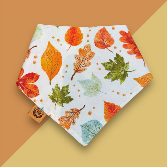 Fall leaves a plenty 🍁🍂🍃