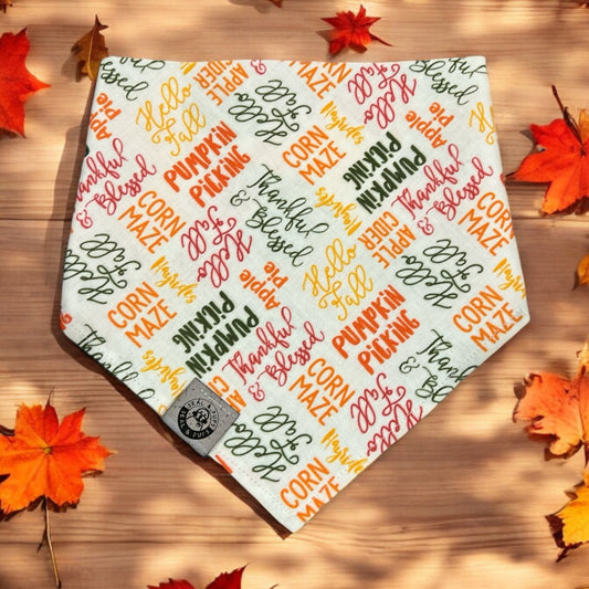 All Things Fall