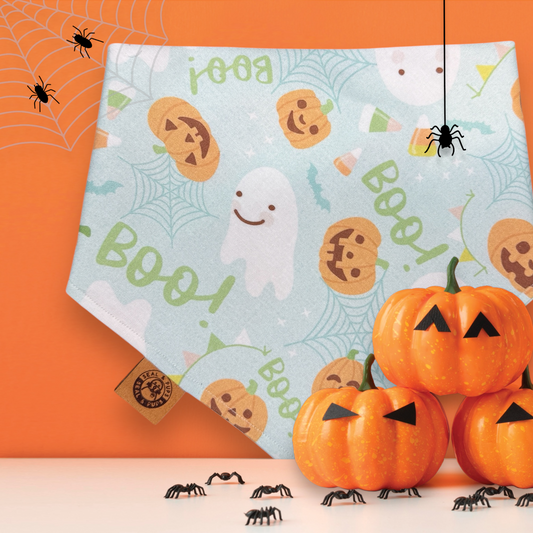 Boo 👻🎃🕸