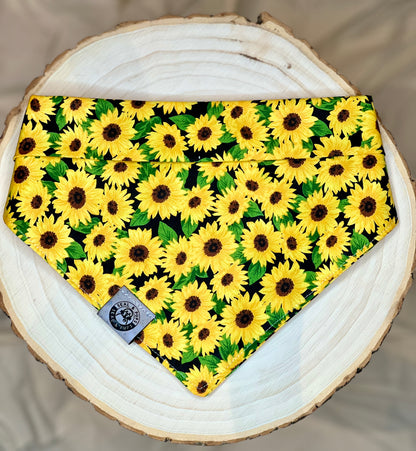 Winnie's Sunflower