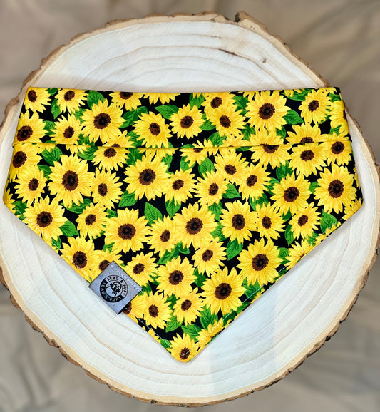 Winnie's Sunflower